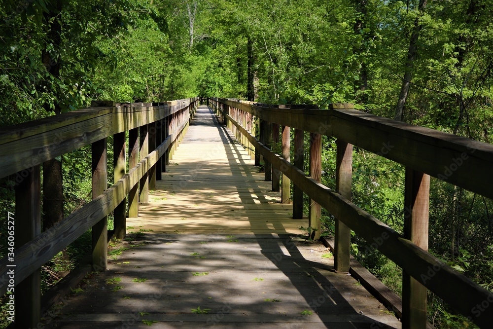 Nature Trail in Ringgold, Georgia