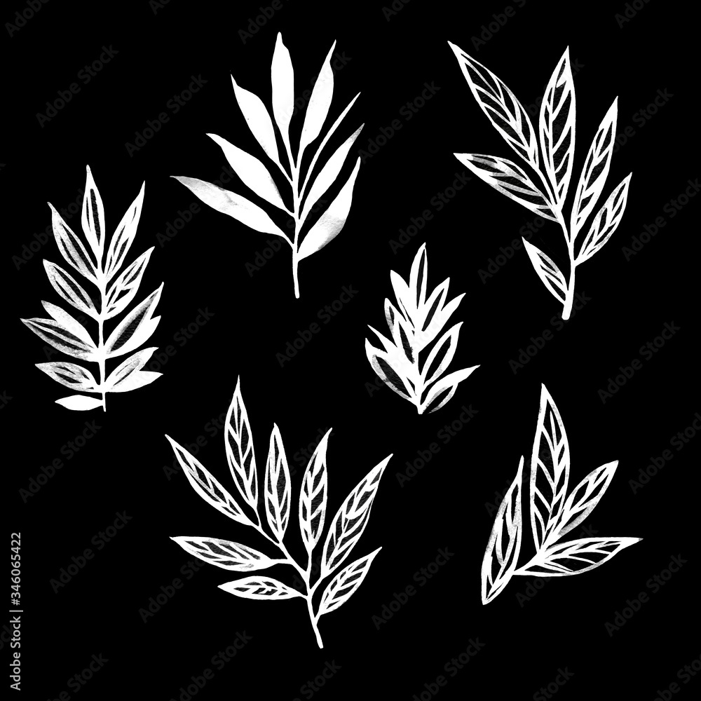 Fototapeta Leaves watercolour set. Hand drawn style. Isolated on black background.. Leafy background for textile, paper, decoration and wrapping