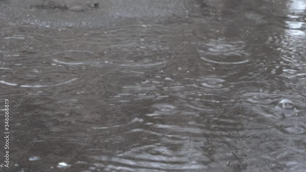 Bubbles in a puddle in the pouring rain Bubbles in a puddle in the pouring rain
