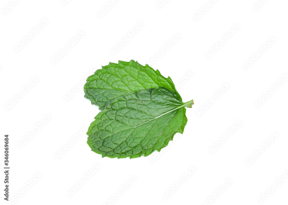 Fototapeta premium mint leaves isolated on white background
