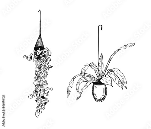 Illustration hand drawn Hanging tree outline vector eps10.