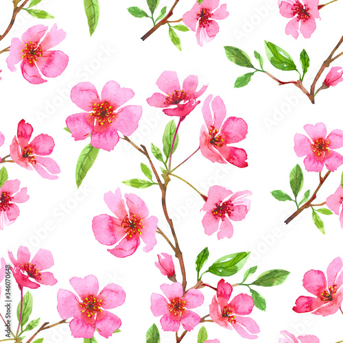 Watercolor cherry blossom flower seamless pattern. Sakura beautiful spring floral template. Colorful illustration isolated on white background
