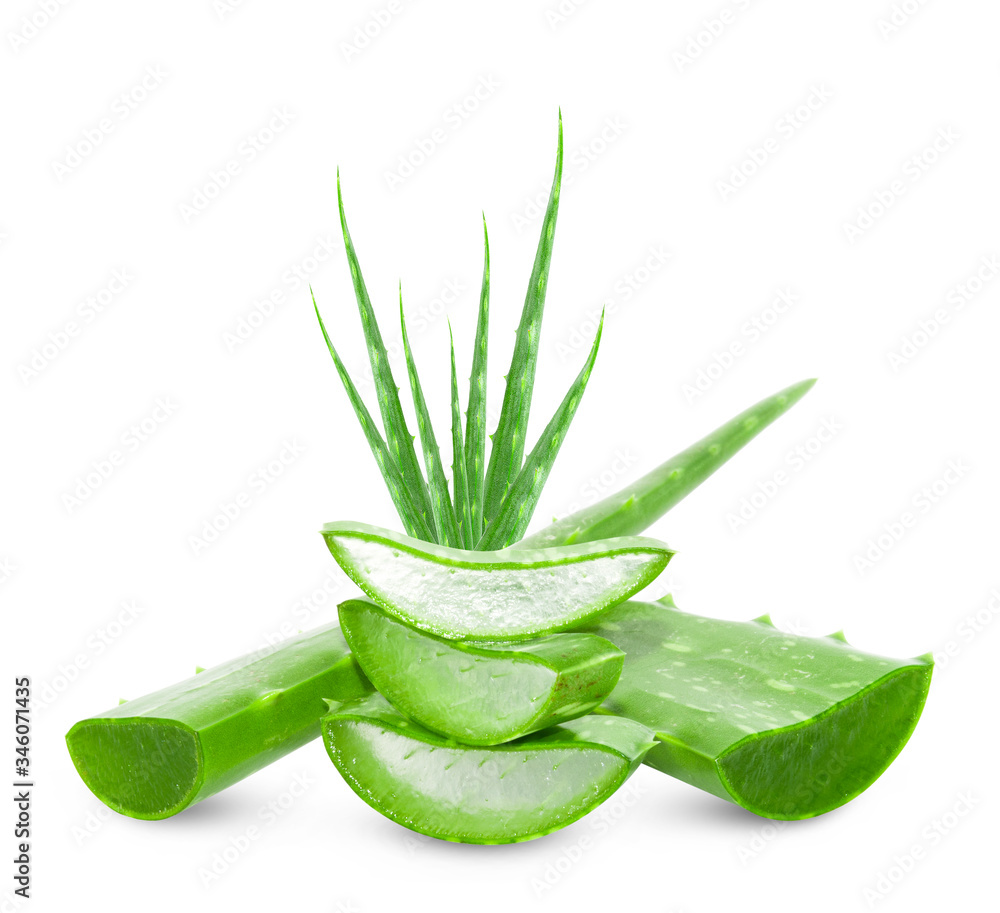 Aloe vera slice on white background. Aloe vera slice on white background.
