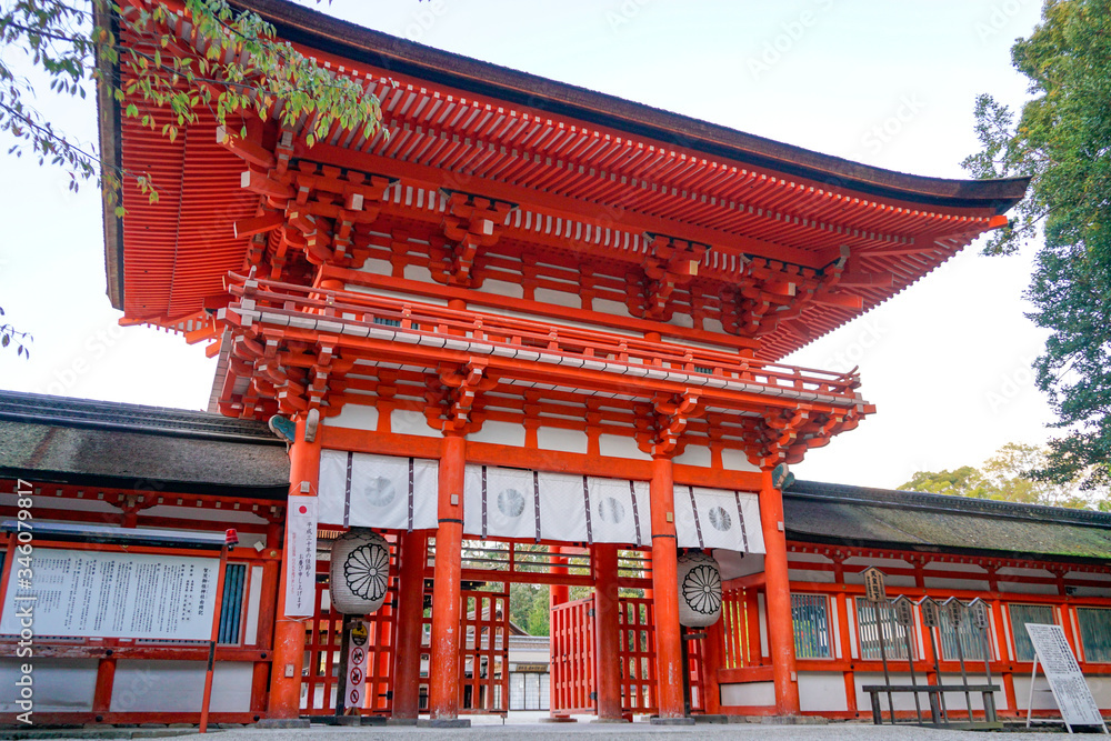 京都　下鴨神社