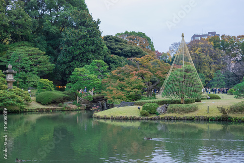 東京都文京区駒込にある日本庭園の景色