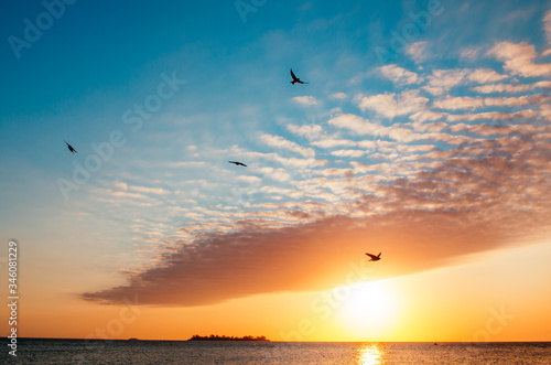 A breathless capture of the golden hour in Colonia Del Sacramento, Uruguay with a view to Rio De La Plata and birds flying over the clouds. © Carmen Jost