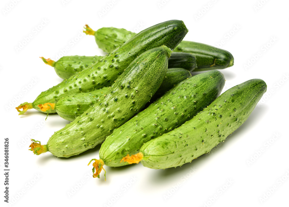 Green cucumber on the white background Green cucumber on the white background