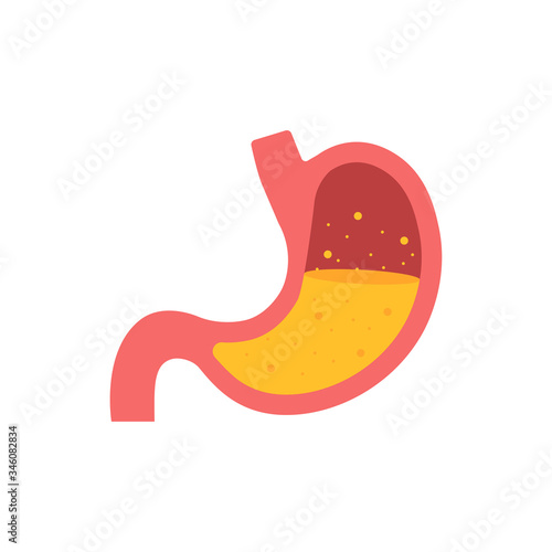 Stomach icon. Human internal organs symbol. Vector stock illustration.