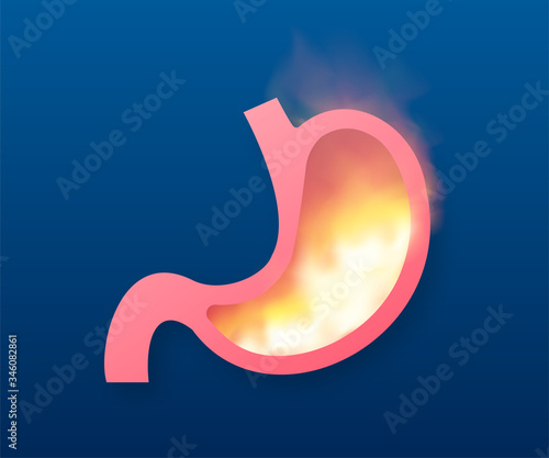 Stomach icon. Human internal organs symbol. Vector stock illustration.