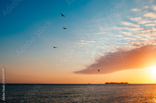 A breathless capture of the golden hour in Colonia Del Sacramento, Uruguay with a view to Rio De La Plata and birds flying over the clouds.
