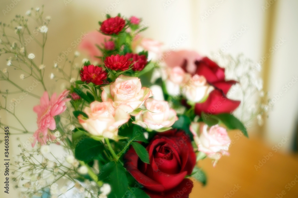 ソフトフォーカス花束、ピンクの薔薇