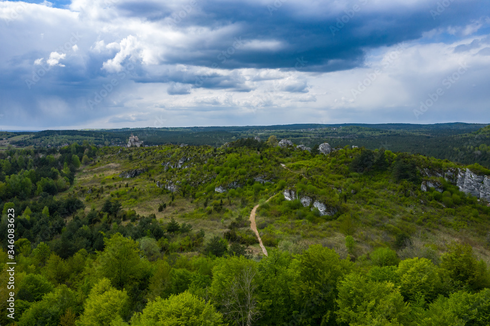 Obraz premium Aerial view of limestone rock formations in green located near Krakow in Poland. Shots from the drone showing the vast green hilly areas of the Cracow-Częstochowa highlands. Kraków-Częstochowa Jura.