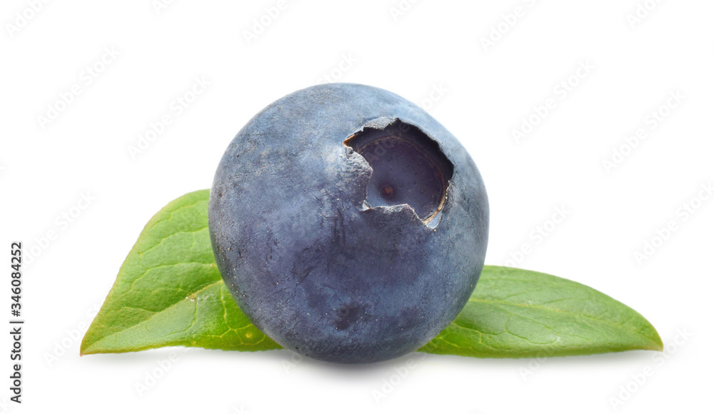 Obraz premium Blueberriy macro with green leaf isolated on white