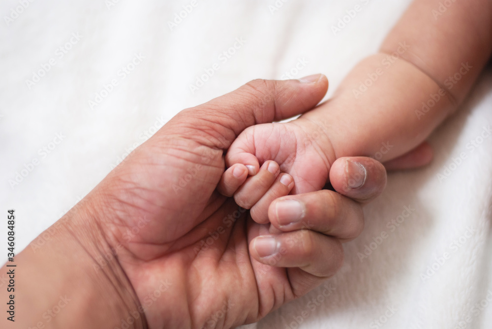 baby feet in hands baby feet in hands