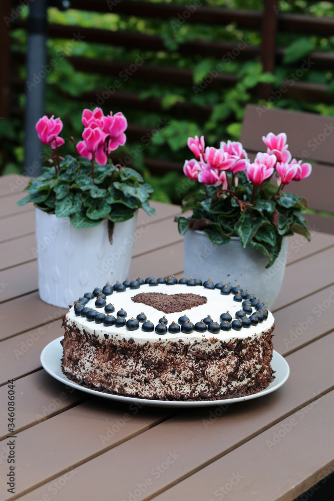 Fresh and delicious homemade summertime theme black currant, chocolate and cream cake. Topped with whipped cream, fresh berries and grated chocolate. Cheerful cake for celebrations like bday.