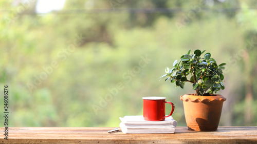 red coffee cup with notebooks and plant pot 