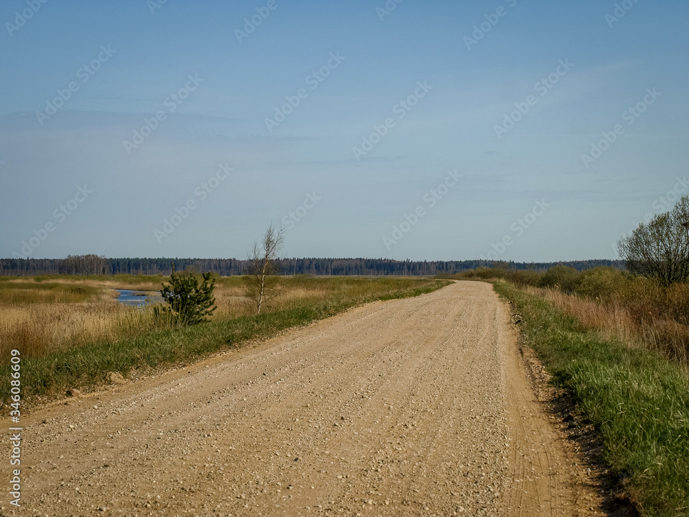 a simple country road, the first bright spring greenery, the first leaves in the trees