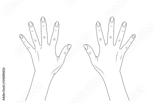 Vector sketch illustration eps10 - women's hands.
