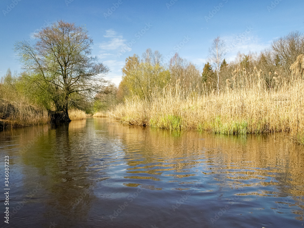 landscape with a small wild river bank, the first spring greenery, last year's reeds, tree reflections in the water