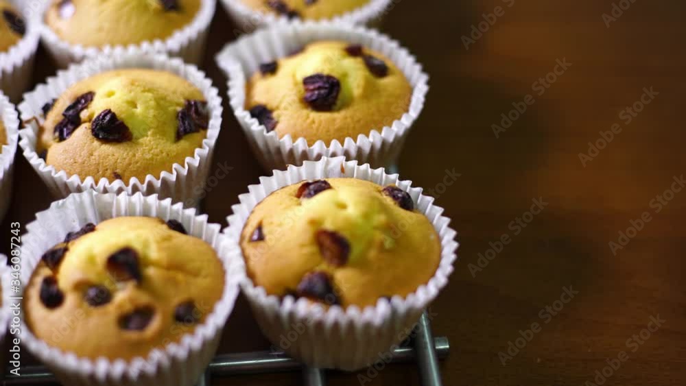 chocolate chips muffins chocolate chips muffins