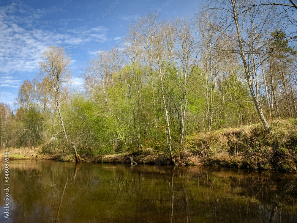 Obraz premium landscape with a small wild river bank, the first spring greenery, last year's reeds, tree reflections in the water