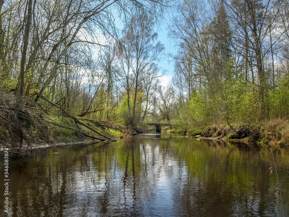 the bank of a small wild river, the first spring greenery, reflections in the river water
