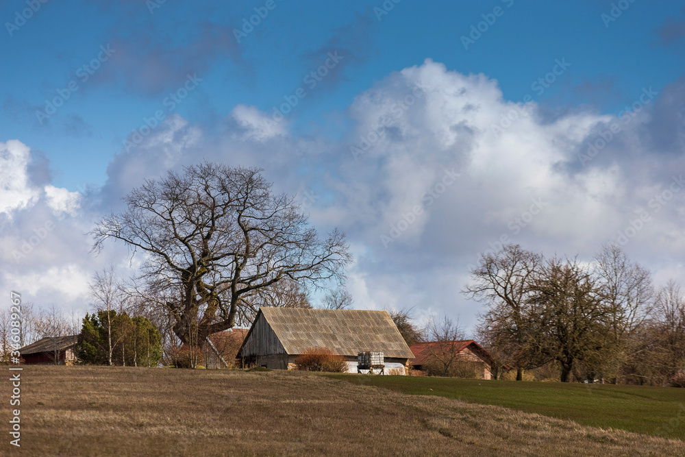 The beautiful nature of Latvia in spring