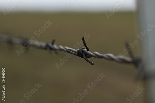 Close-up of a Barbed Wire Fence in the Country © spritnyuk