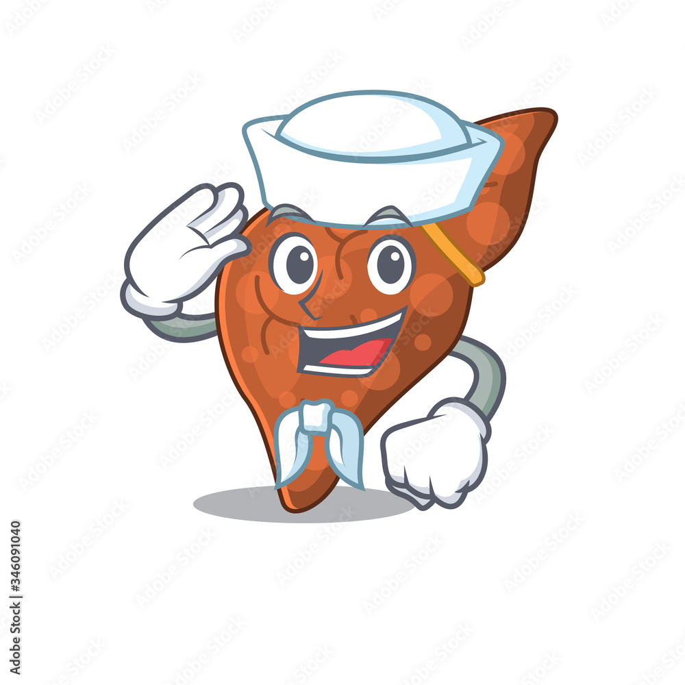 Sailor cartoon character of human fibrosis liver with white hat Sailor cartoon character of human fibrosis liver with white hat