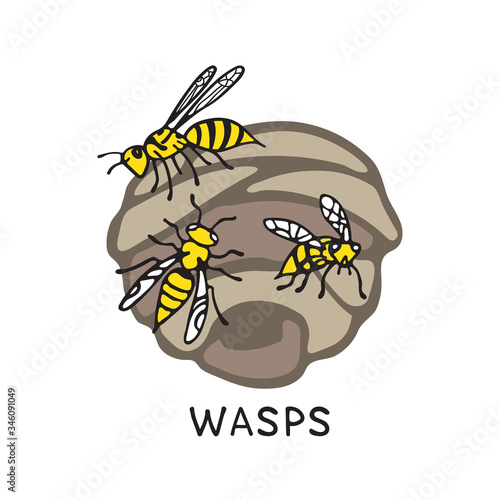 wasp-03