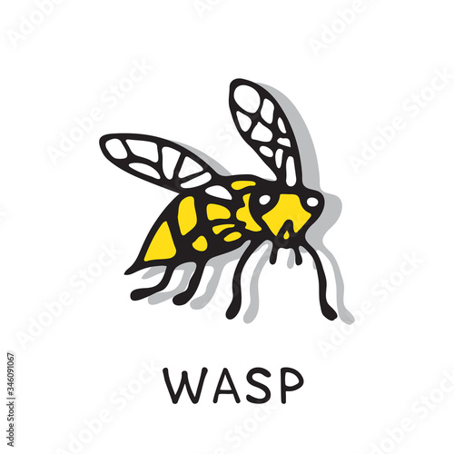 wasp-06