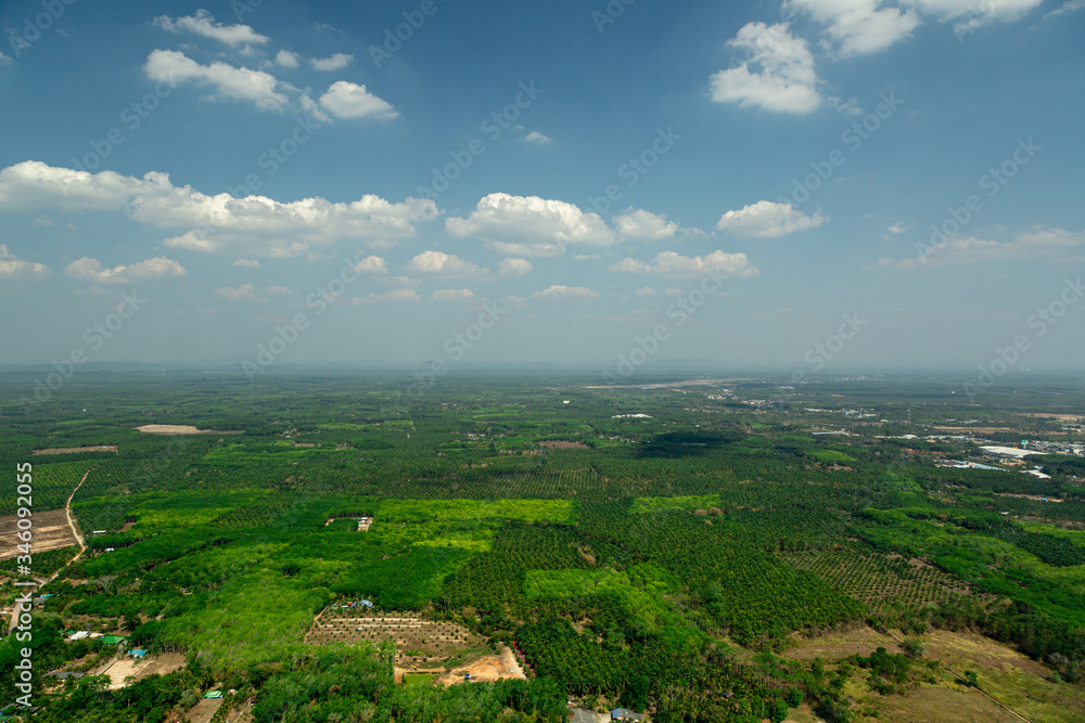 View from a high mountain to the green forest and the city