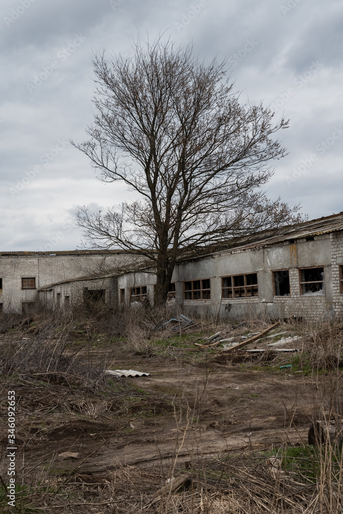 Interior of the old ruined abandoned barn for cows. Destroyed agriculture Interior of the old ruined abandoned barn for cows. Destroyed agriculture
