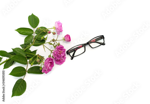 Pink flowers and eyeglasses isolated on white background