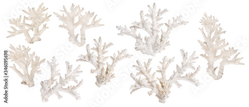 Fototapeta Naklejka Na Ścianę i Meble -  set of eight light coral branches on white