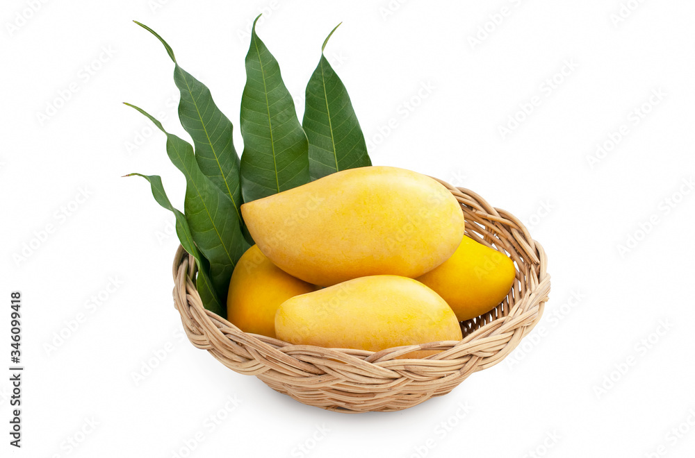Fresh yellow ripe mangoes fruit in rattan basket with green leaves isolated on white background.