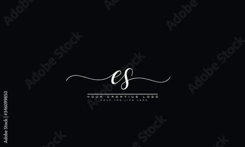 es se abstract vector logo monogram template