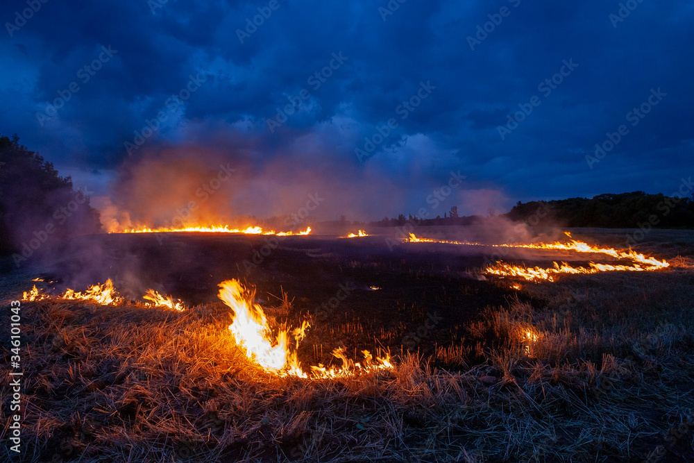 Evening fire on a field with dry grass. Dry wheat burns at night. Thunderclouds in the background.