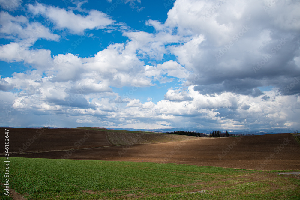 Obraz premium 美瑛の丘