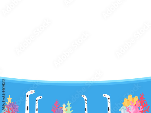 チンアナゴと珊瑚のフレームイラスト