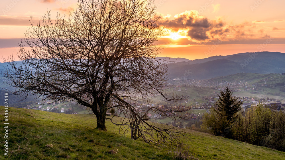 Beskid Śląski, widok z Ochodzitej w Koniakowie Beskid Śląski, widok z Ochodzitej w Koniakowie
