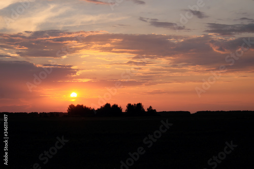 The sun sets over the horizon. Silhouettes of trees on sunset sky background. Colorful clouds.