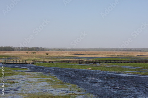 landscape backwaters of the river Narwiański Park Narodowy