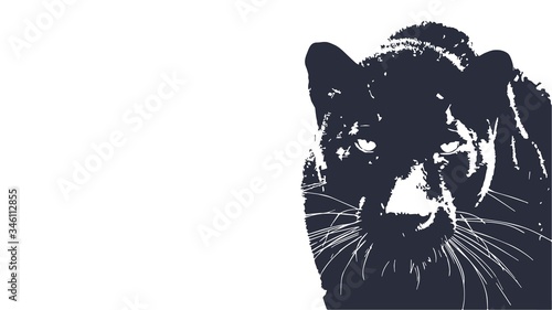 Panther walking from dark. vector Logo design