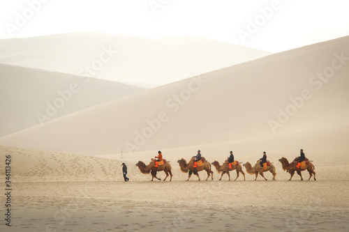 DUNHUANG CHINA-MARCH 11 2016  A group of tourists are riding camel in the Mingsha Shan desert like the caravan as part of the Silk Road in Dunhuang  Gansu  China.