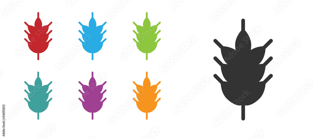 Black Hop icon isolated on white background. Set icons colorful. Vector Illustration Black Hop icon isolated on white background. Set icons colorful. Vector Illustration