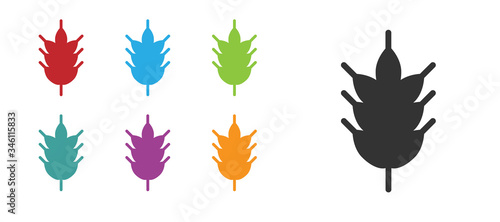 Black Hop icon isolated on white background. Set icons colorful. Vector Illustration