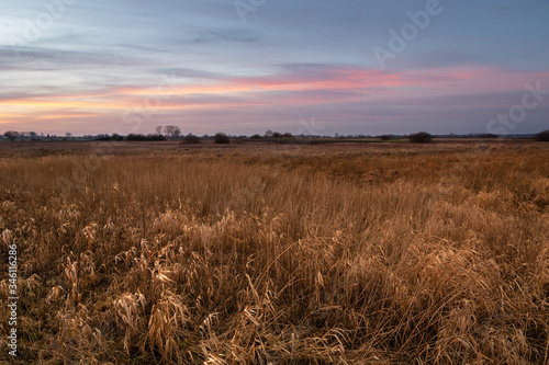 Dry yellow grass on wild meadow and clouds after sunset