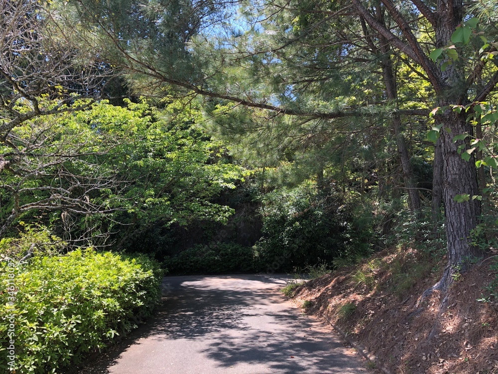 公園 公園