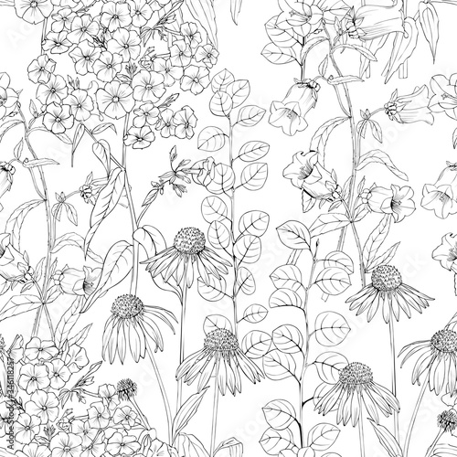 Outlines of garden flowers on a white background. Seamless pattern with floral pattern.